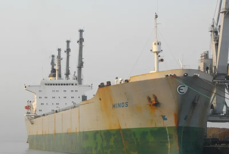 MINOS Bulk Carrier IMO 7361142 photo 8