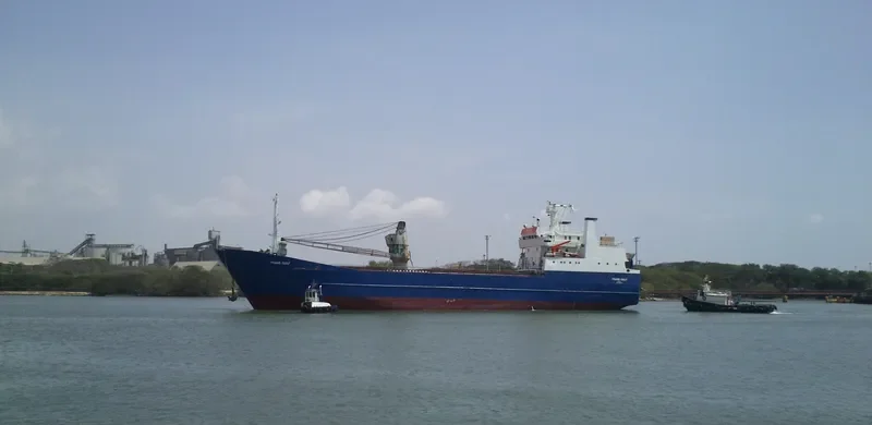 TRANS GULF Ro-Ro IMO 7361283