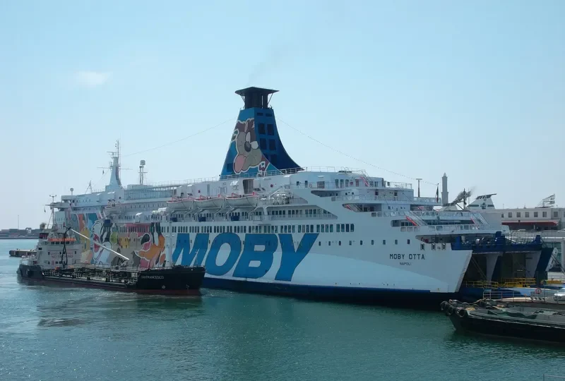 MOBY OTTA Ro-Ro IMO 7361324 photo 6