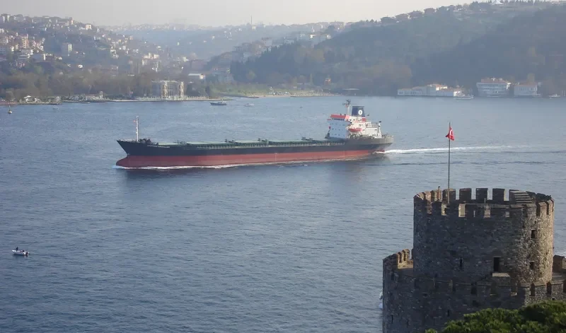 PATMOS Bulk Carrier IMO 7361518 photo 8