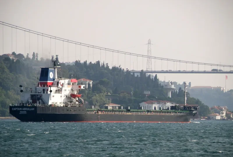 PATMOS Bulk Carrier IMO 7361518 photo 10