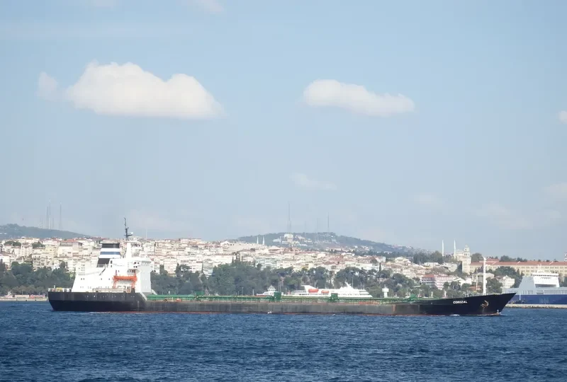 COROZAL Bulk Carrier IMO 7361532 photo 3