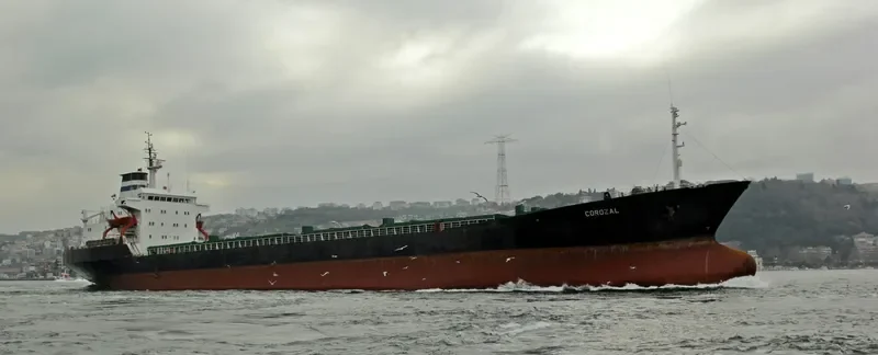 COROZAL Bulk Carrier IMO 7361532 photo 6