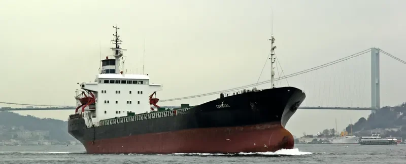 COROZAL Bulk Carrier IMO 7361532 photo 7