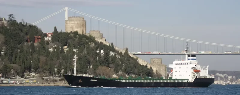 COROZAL Bulk Carrier IMO 7361532 photo 10