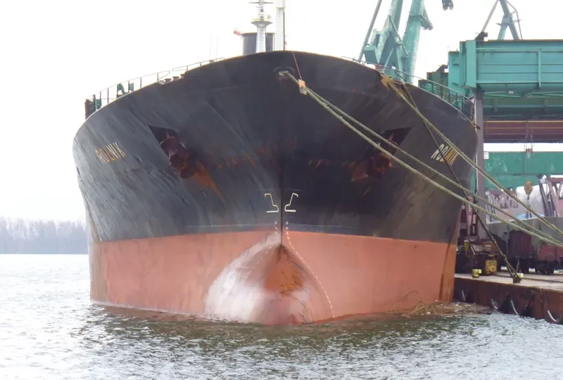 ROLN Bulk Carrier IMO 7361544 photo 4