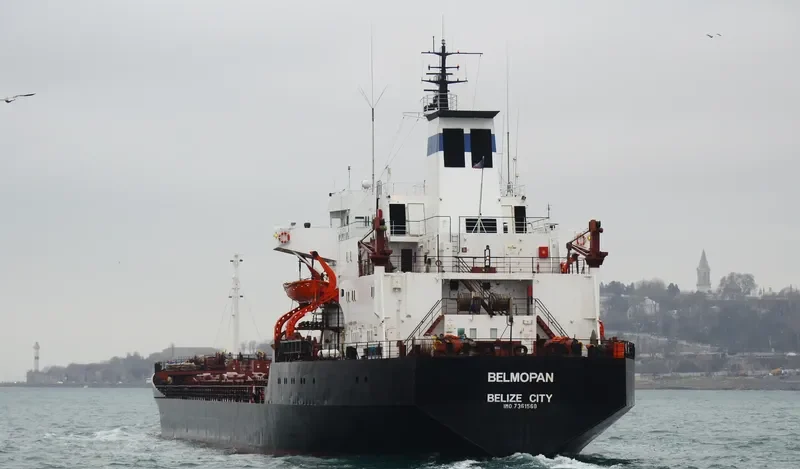 BELMOPAN Bulk Carrier IMO 7361568 photo 6