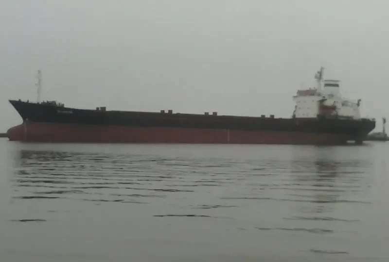 BELMOPAN Bulk Carrier IMO 7361568 photo 7