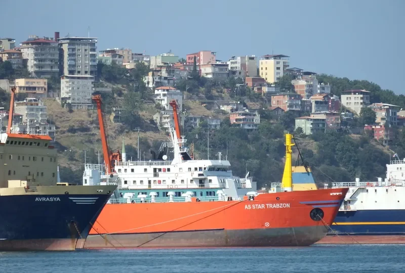 ASSTAR TRABZON Ro-Ro IMO 7362093 photo 4