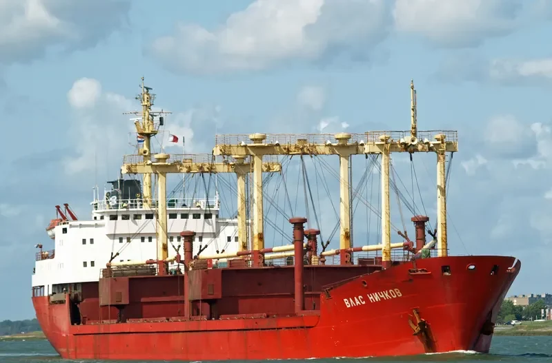 VLAS NICHKOV General Cargo IMO 7362419 photo 6