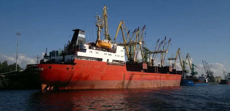 VLAS NICHKOV General Cargo IMO 7362419 photo 8