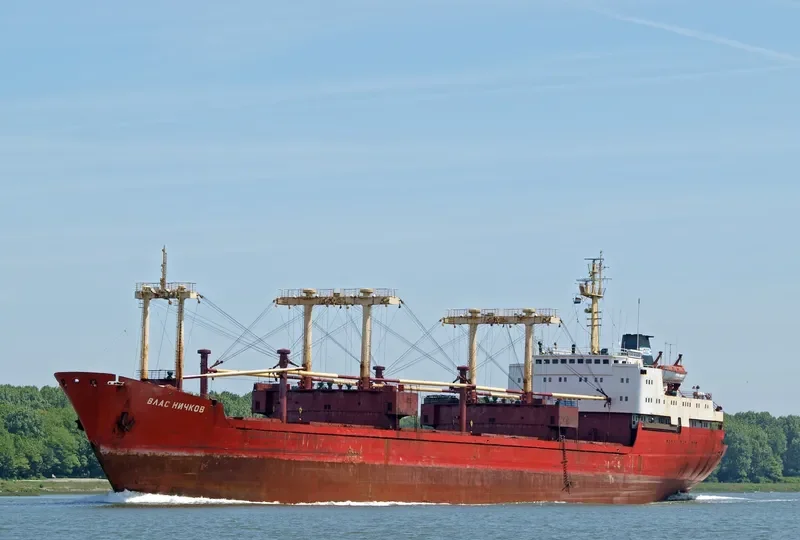 VLAS NICHKOV General Cargo IMO 7362419 photo 9