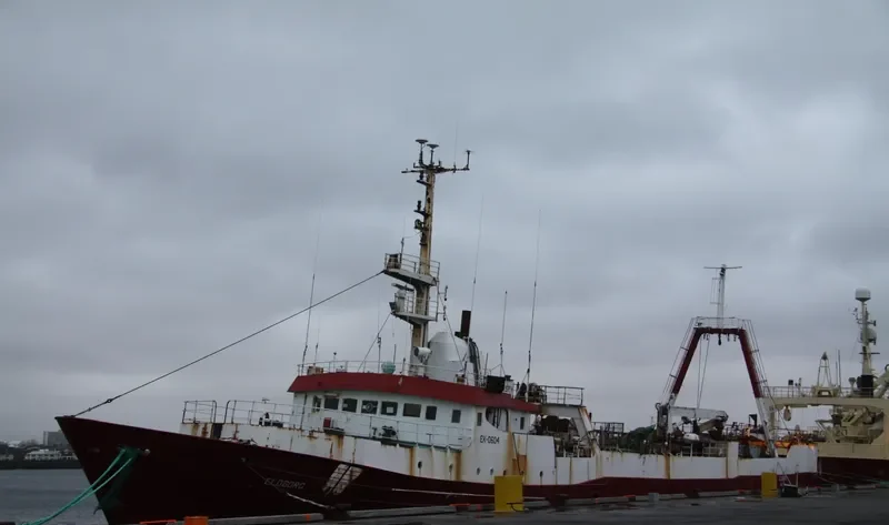 ELDBORG General Cargo IMO 7362524 photo 2