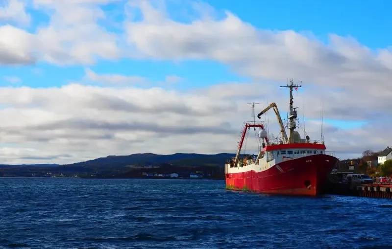 ELDBORG General Cargo IMO 7362524 photo 4