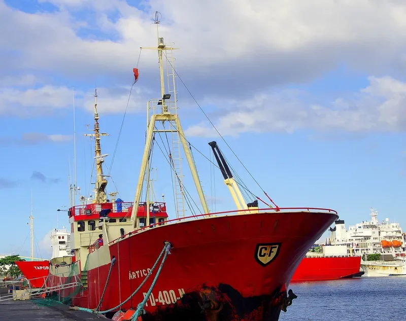 ARTICO General Cargo IMO 7362756 photo 4