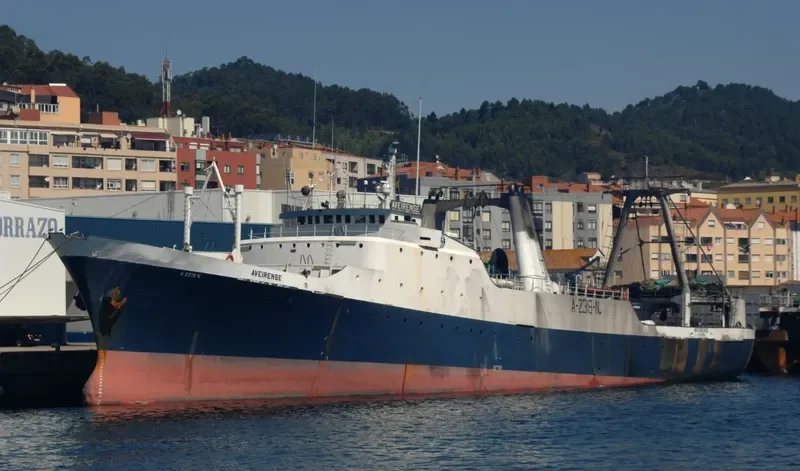 AVEIRENSE General Cargo IMO 7362823 photo 2