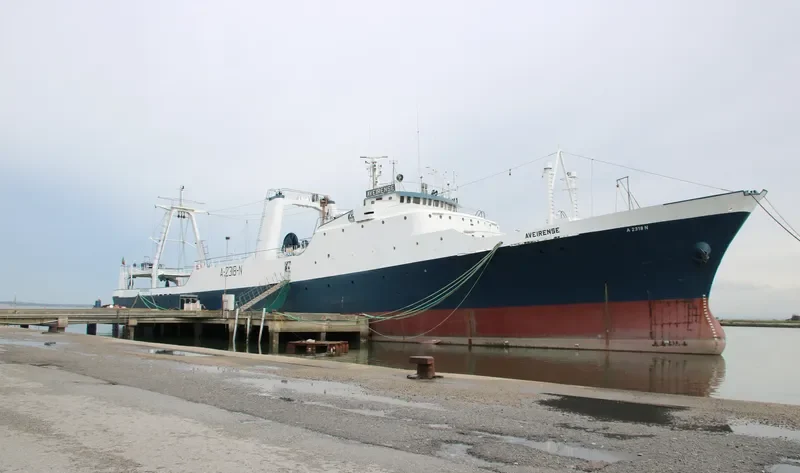 AVEIRENSE General Cargo IMO 7362823 photo 5