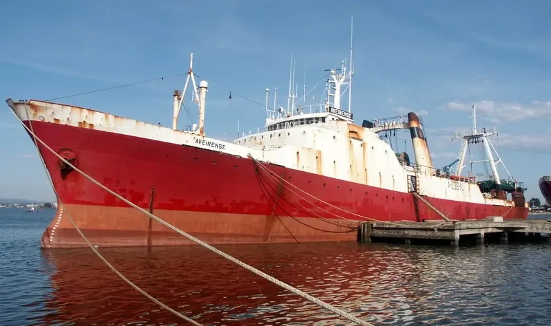 AVEIRENSE General Cargo IMO 7362823 photo 8