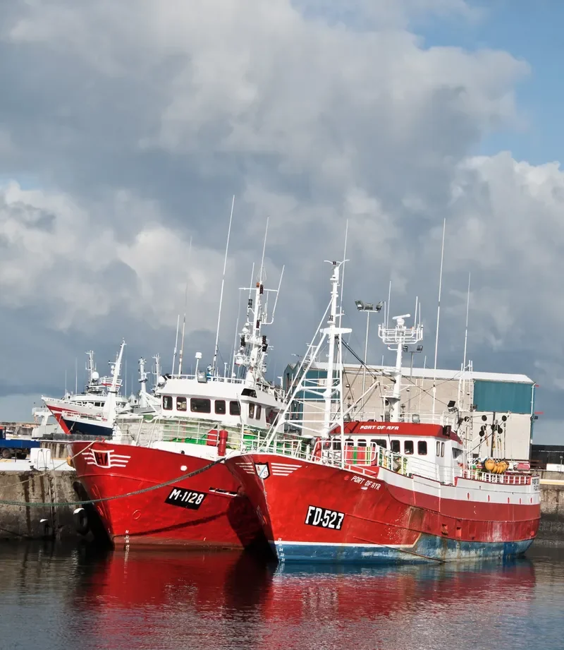 PORT OF AYR Fishing Vessel IMO 7363138 photo 5