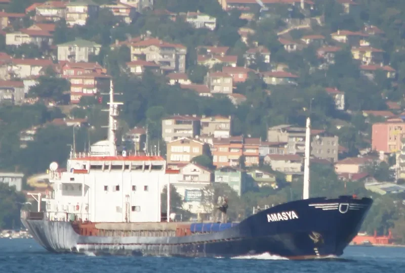 AMASYA General Cargo IMO 7363645