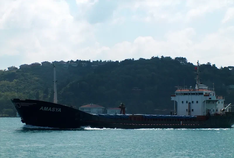 AMASYA General Cargo IMO 7363645 photo 6