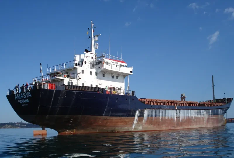 AMASYA General Cargo IMO 7363645 photo 8