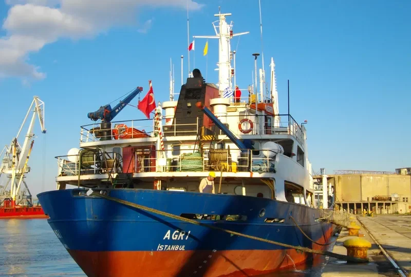 AGRI General Cargo IMO 7364326 photo 2