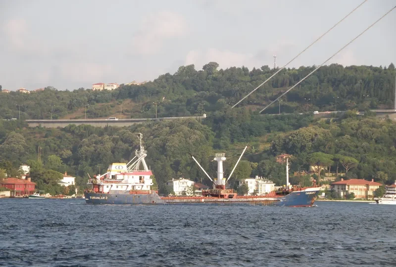 TURANLAR 2 General Cargo IMO 7364429 photo 7