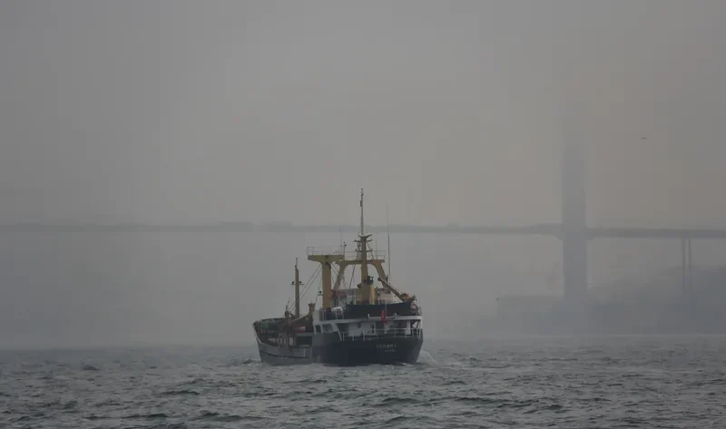 CEREN 3 General Cargo IMO 7364481 photo 4