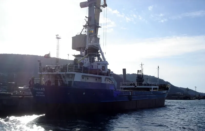 TALLAS General Cargo IMO 7364546