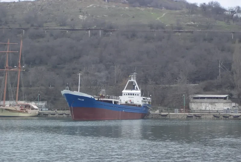 TALLAS General Cargo IMO 7364546 photo 3