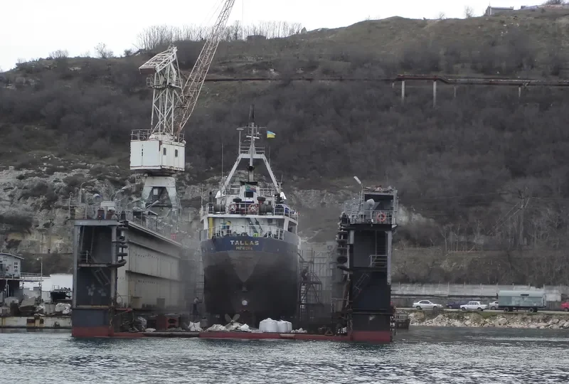 TALLAS General Cargo IMO 7364546 photo 4