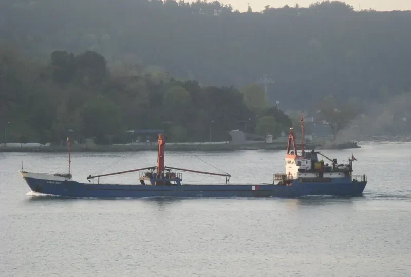 TALLAS General Cargo IMO 7364546 photo 5