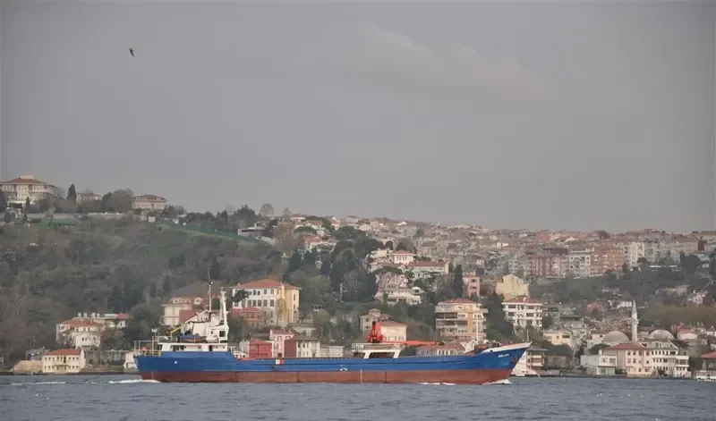 TALLAS General Cargo IMO 7364546 photo 6