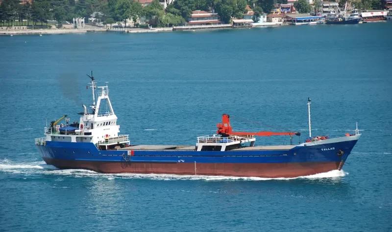 TALLAS General Cargo IMO 7364546 photo 7
