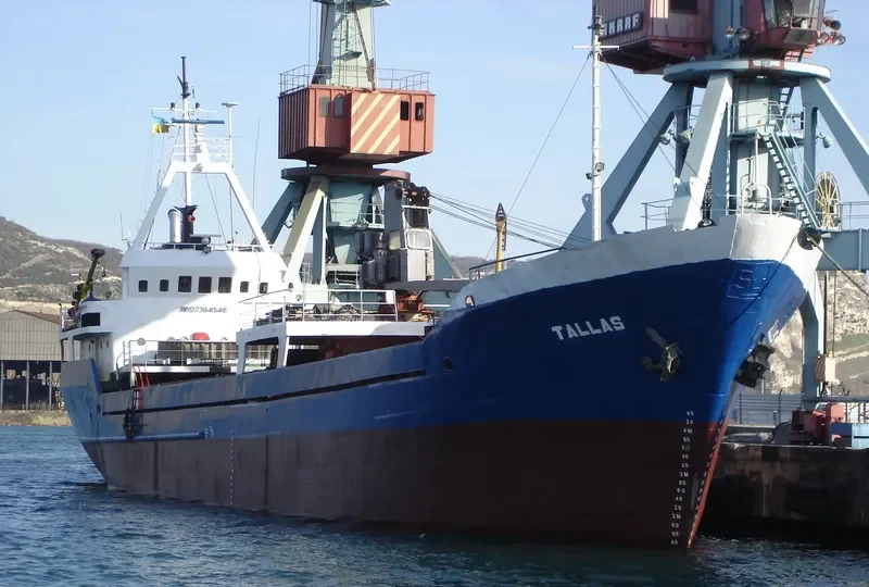 TALLAS General Cargo IMO 7364546 photo 8