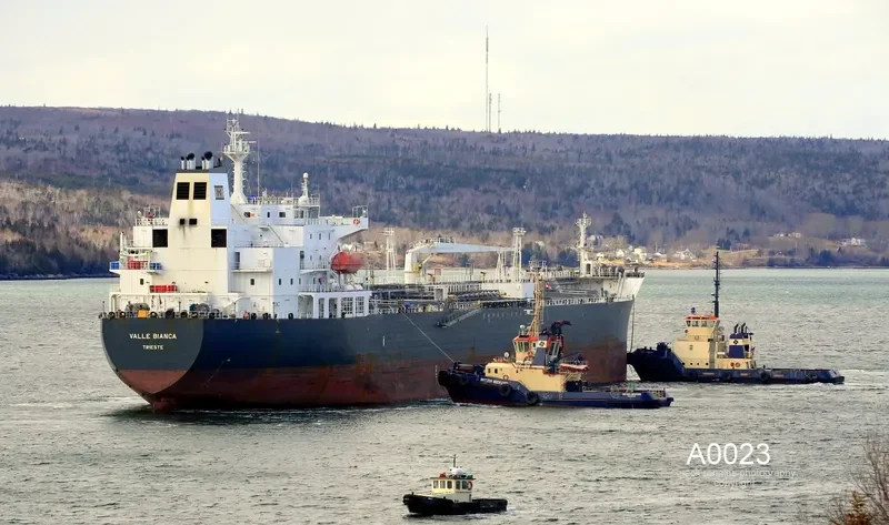 VALLE BIANCA Tanker IMO 7365291