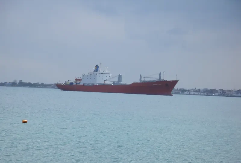 CORAL SEA General Cargo IMO 7365382 photo 2