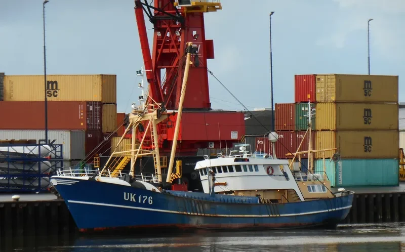 VERWACHTING General Cargo IMO 7365617