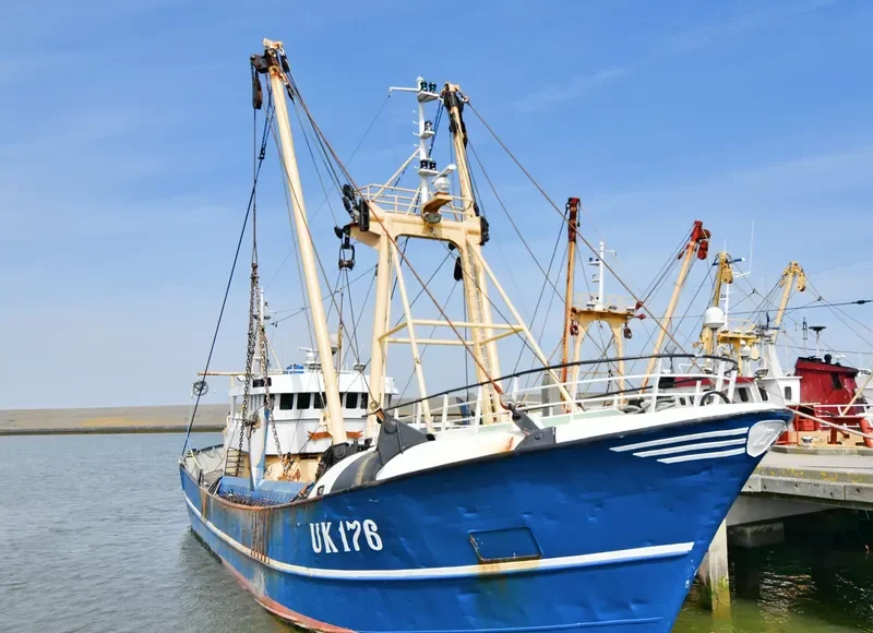 VERWACHTING General Cargo IMO 7365617 photo 2