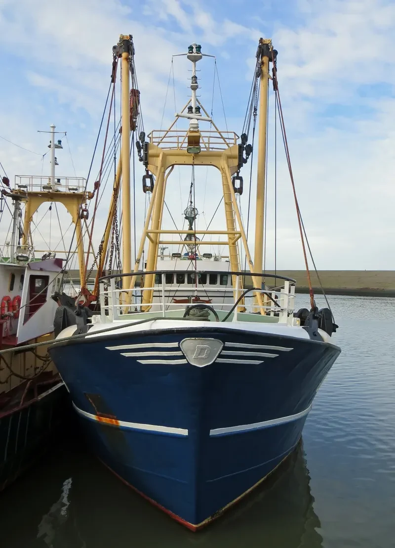 VERWACHTING General Cargo IMO 7365617 photo 5