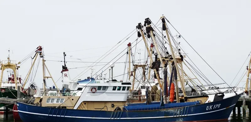 VERWACHTING General Cargo IMO 7365617 photo 6