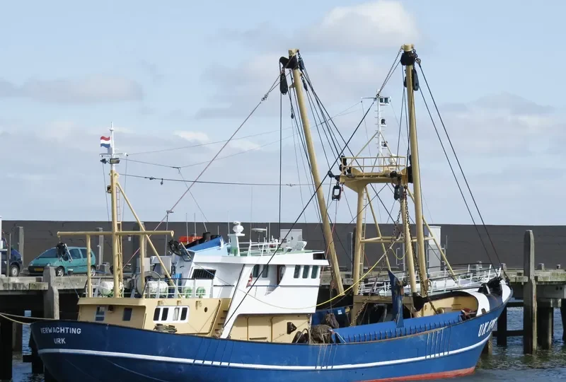 VERWACHTING General Cargo IMO 7365617 photo 7