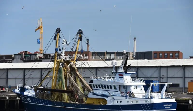 CELTIC WARRIOR General Cargo IMO 7365708 photo 2