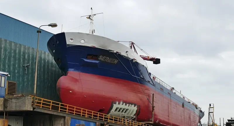 DC BRUGGE General Cargo IMO 7365851