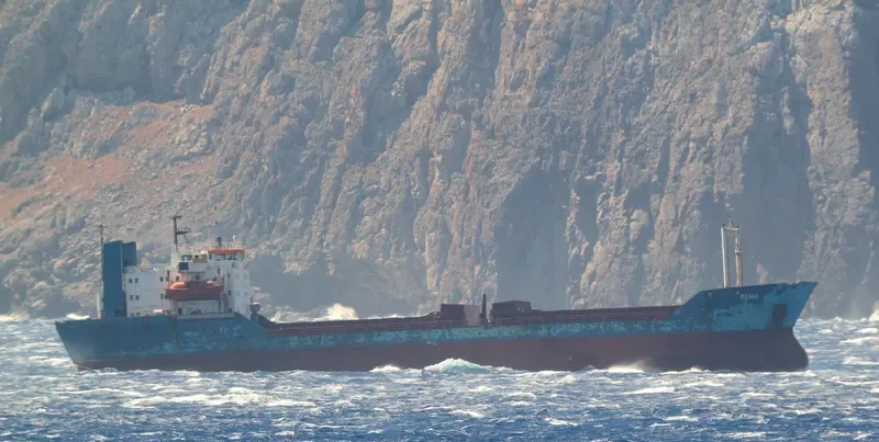 ELMA General Cargo IMO 7366013 photo 3