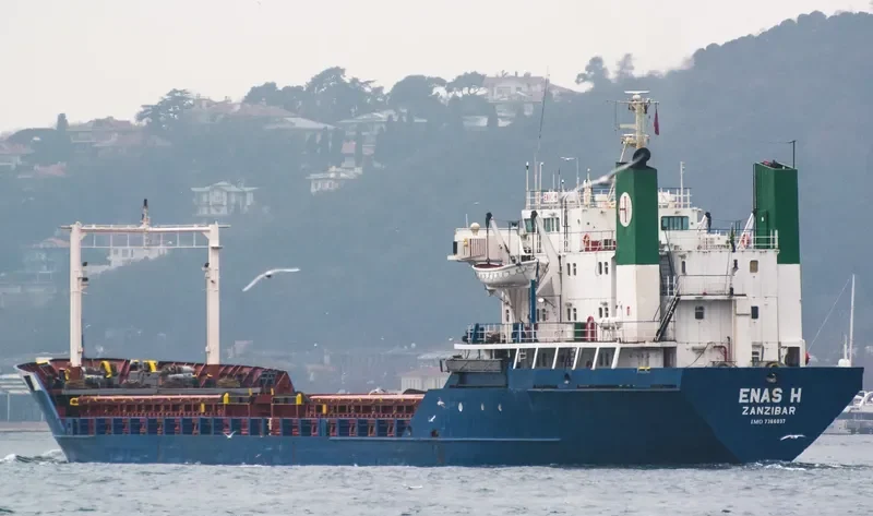 ENAS H General Cargo IMO 7366037 photo 8