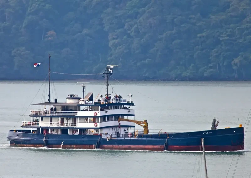 ATLAS III Bulk Carrier IMO 7366104 photo 8