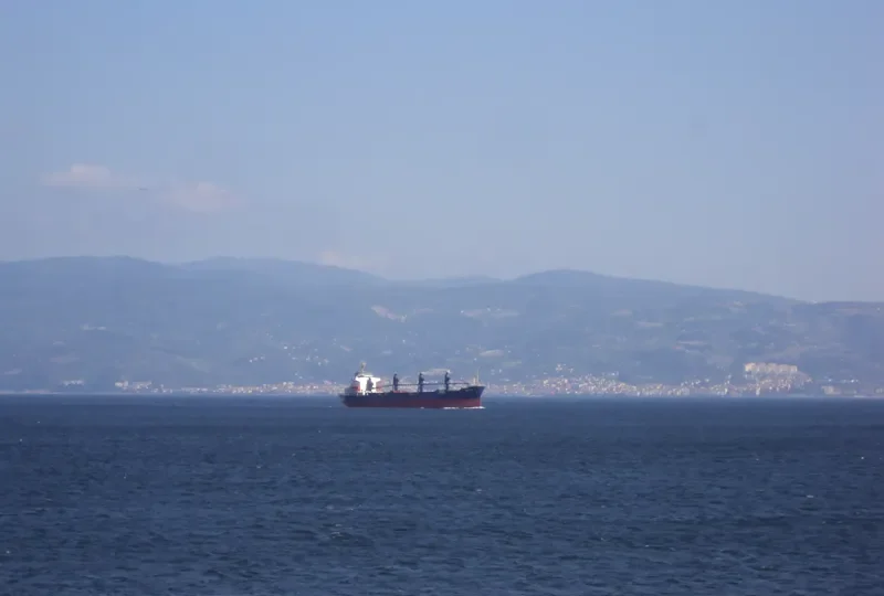 LEVANTES Bulk Carrier IMO 7366128