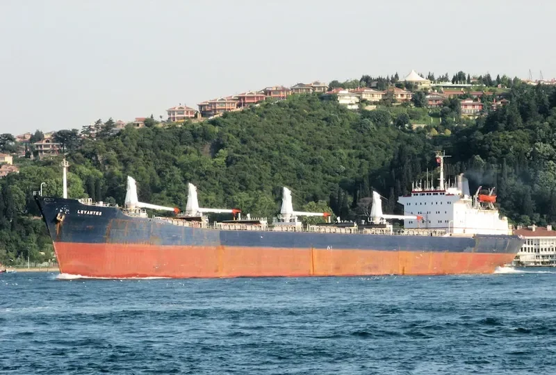 LEVANTES Bulk Carrier IMO 7366128 photo 9
